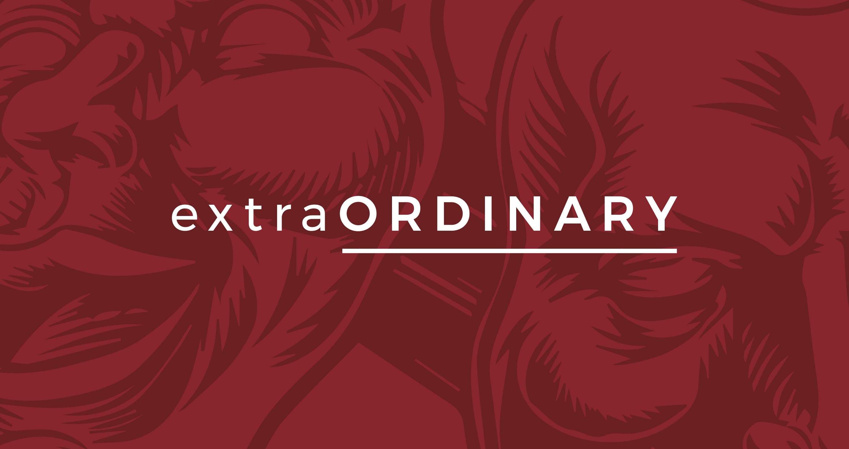 extraORDINARY